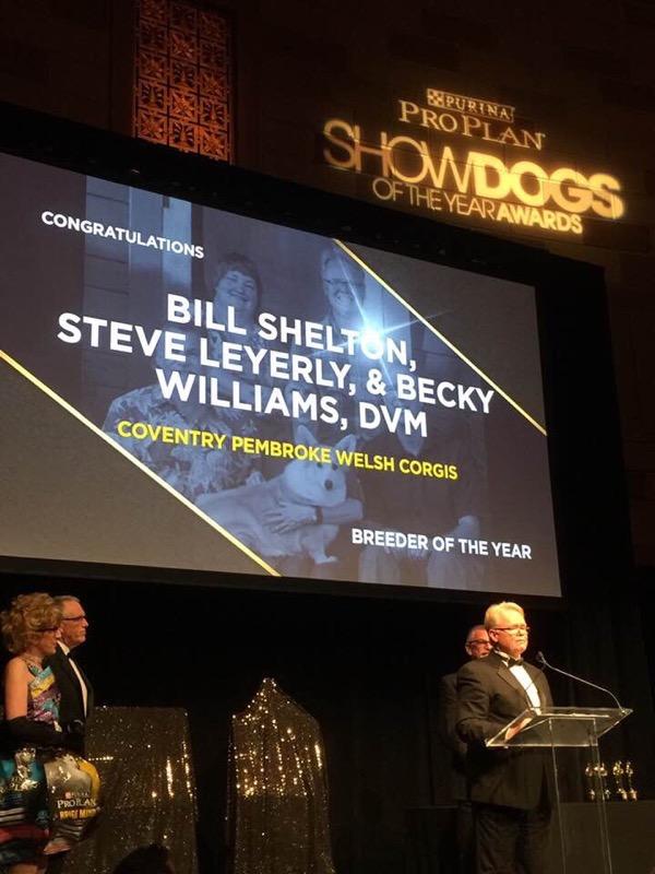 Purina Pro Plan Goldendoodle and Bernedoodle Puppies